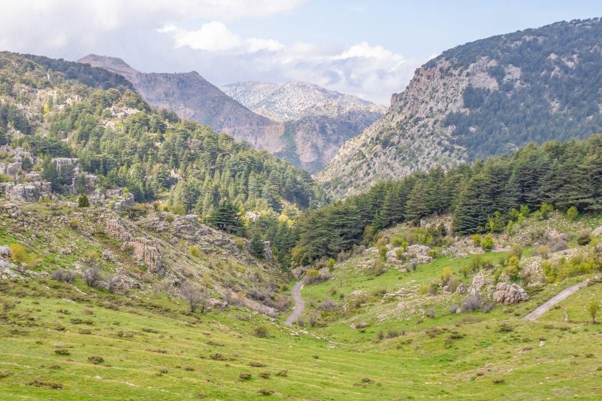 Forest of the Cedars of God (Horsh Arz el-Rab)